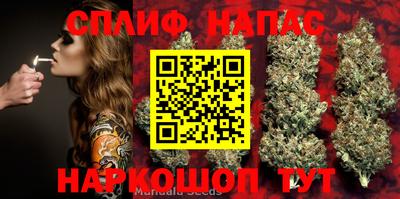 крисы Чебаркуль